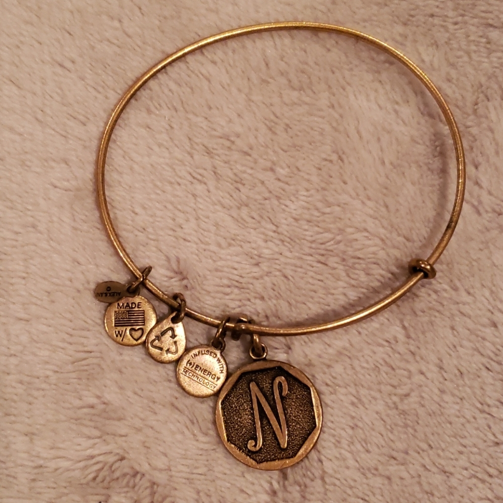 Alex and Ani "N" Charm Bangle